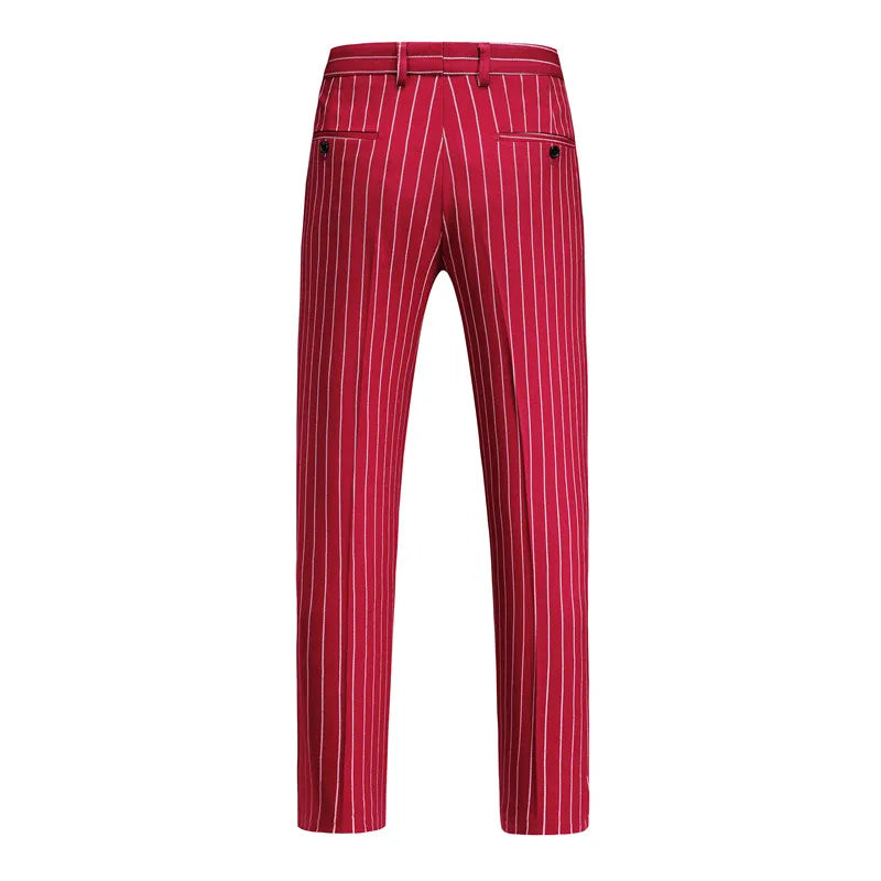 Chic Steampunk Striped Pants modern