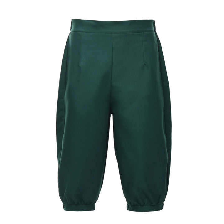 Vintage Pirate Steampunk Pants sleek
